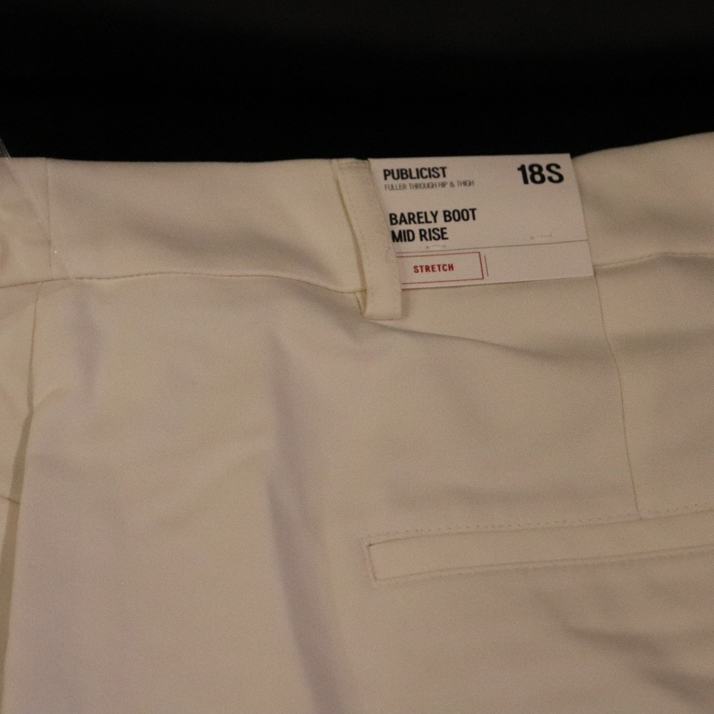 NWT Express Publicist Pant